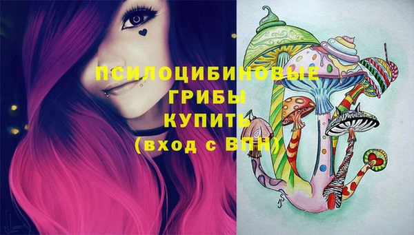 таблы Горняк