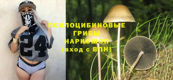 не бодяженный Горнозаводск