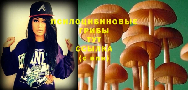 не бодяженный Горнозаводск